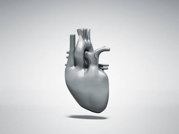心臓の病気との関係